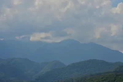 DSC_3924 (Large).JPG